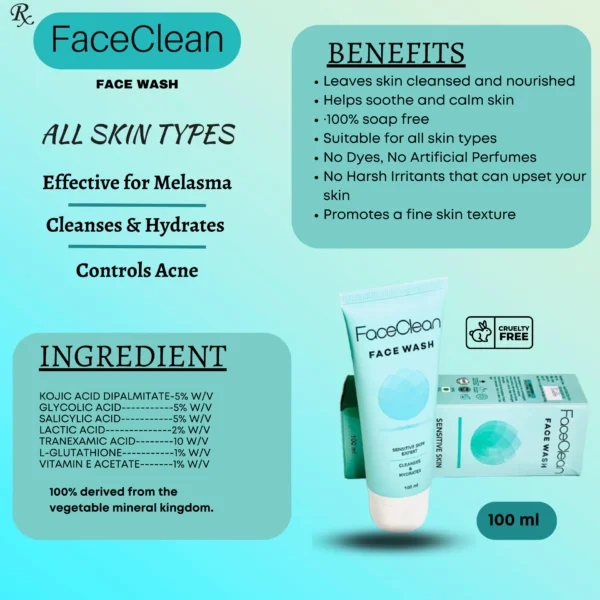 FaceClean description brochure